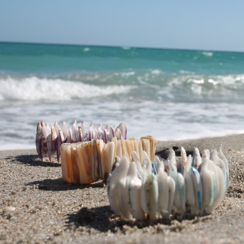 Sea shells by the sea shore Bracelets